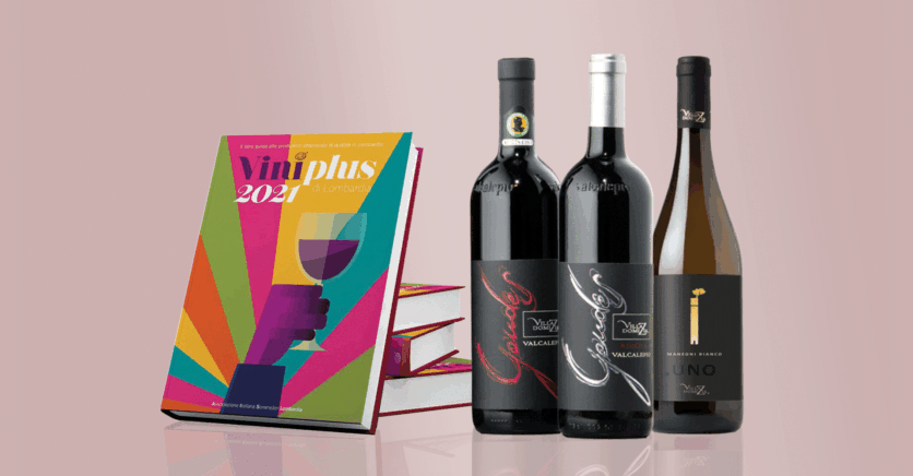 VINIPLUS RECOMMENDS A WHITE WINE AND TWO RED WINES BY VILLA DOMIZIA 